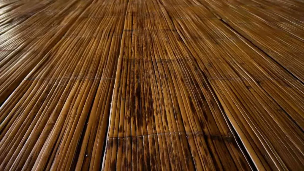 Bamboo Flooring