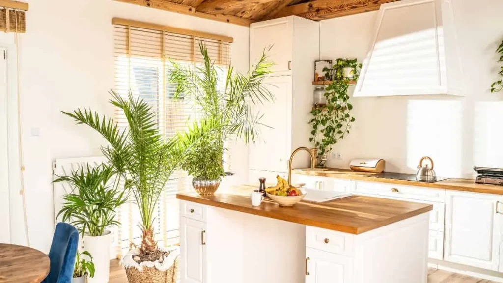 How to Plan an Eco-Friendly Kitchen Remodel