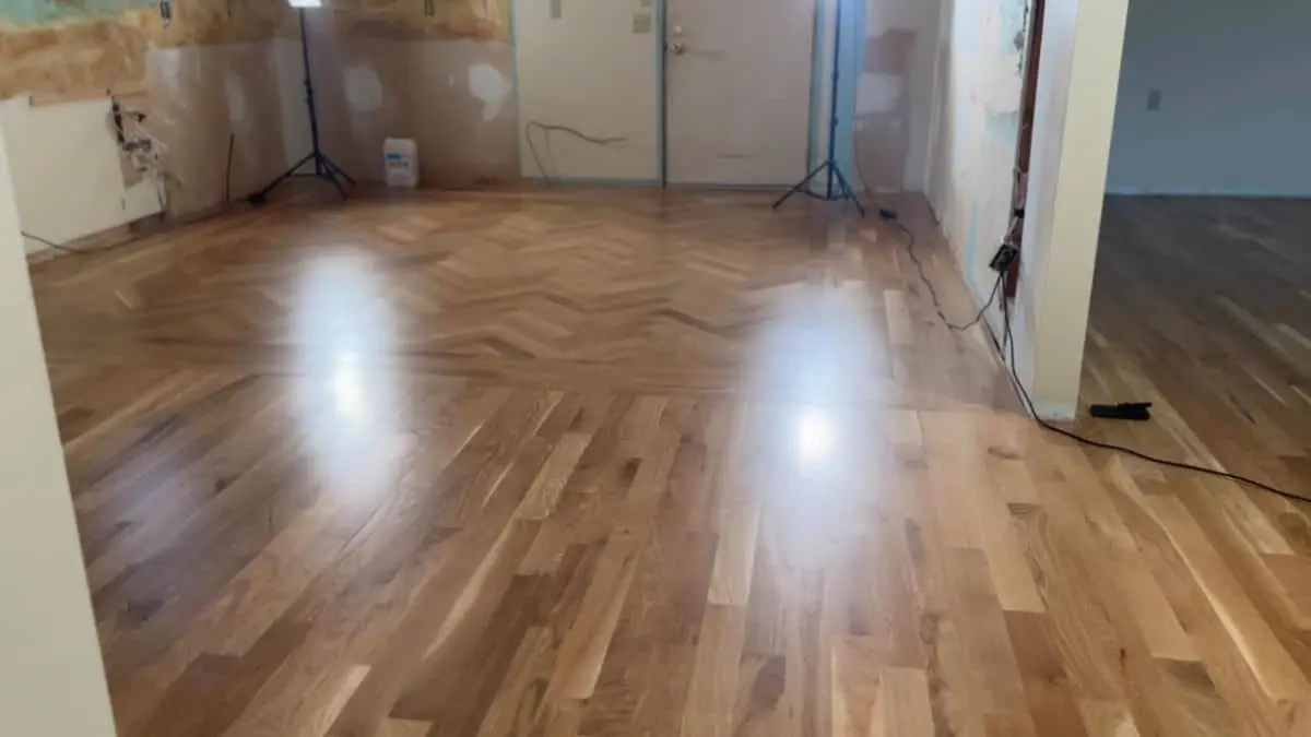 Hardwood Floor Transition from Room to Hallway