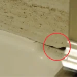 Hole in Shower Floor