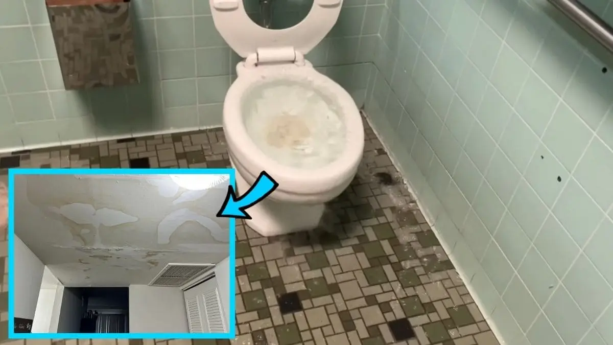 Upstairs Toilet Overflowed And Leaked Through Ceiling
