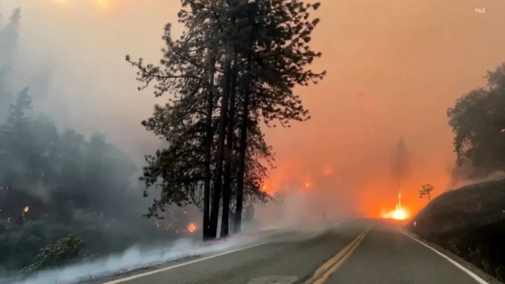 Filter Out Wildfire Smoke