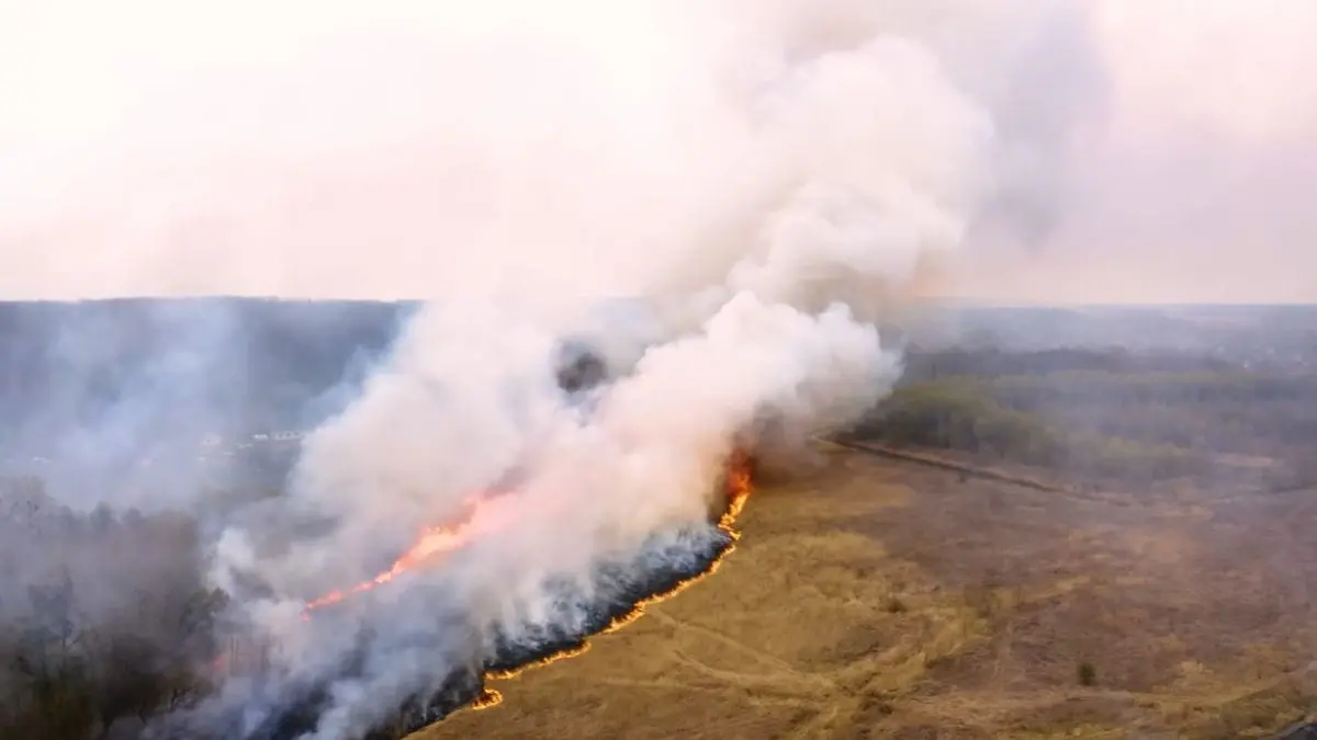 How to Keep Wildfire Smoke Out of Your House