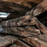 Rotted Roof Rafter Repair