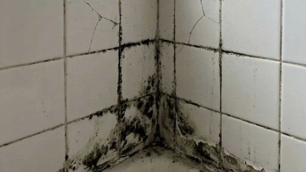 Signs of water damage in shower