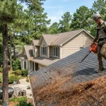 remove-pine-needles-from-roof-guide